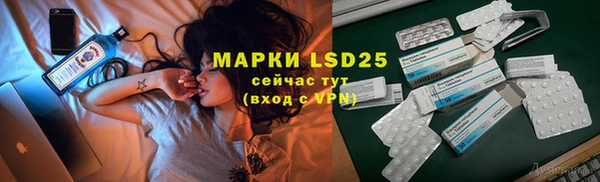 мдпв Бородино