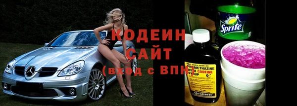 мдпв Бородино