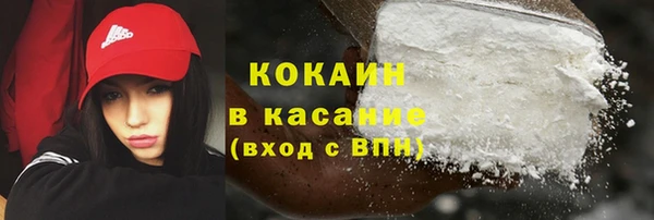 мдпв Бородино