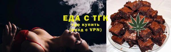 мдпв Бородино