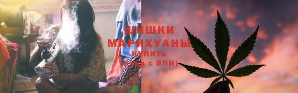 молекула духа Бугульма