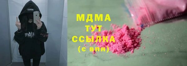 мдпв Бородино