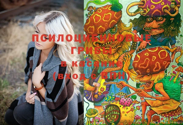 молекула духа Бугульма
