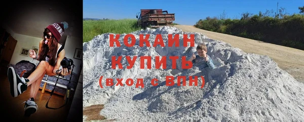 мдпв Бородино