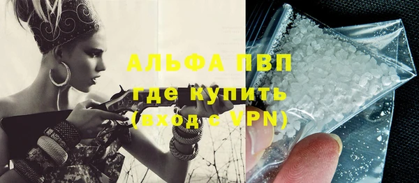 мдпв Бородино