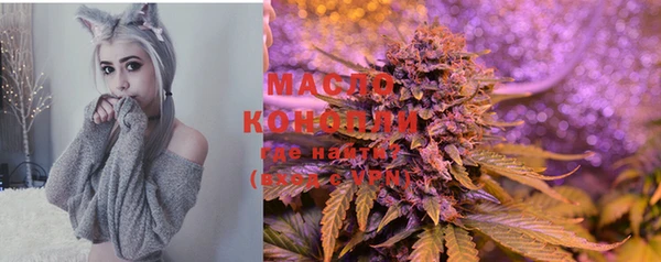 молекула духа Бугульма
