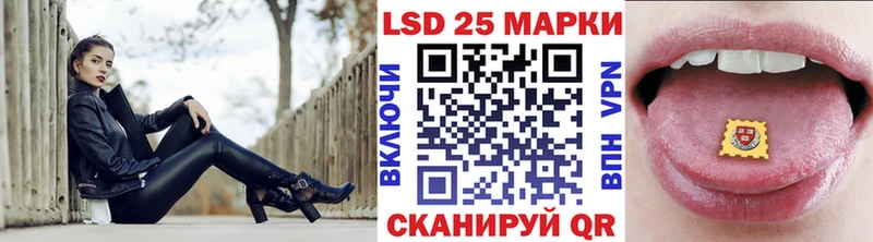 Купить Спасск Марки N-bome 1500мкг