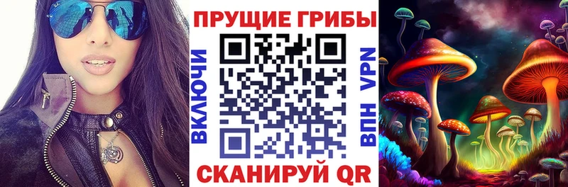 Галлюциногенные грибы GOLDEN TEACHER Купить где Спасск