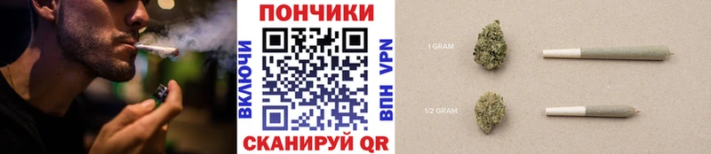 Конопля план  Купить  Спасск 